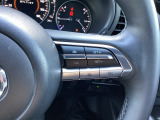 ミリ波レーダーで低速域〜高速域まで、先行車との車間を維持しながら追従走行を可能にします。長距離走行などでドライバーの負担を軽減します。