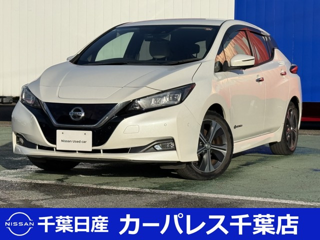 リーフ G 
