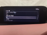 メーカーオプションのフルセグTVチューナー付です!