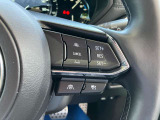 登録した速度に保ち走行するレーダークルーズコントロール付き。高速やバイパスでの運転支援に役立つ便利アイテムです!