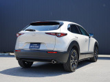 絞り込まれたキャビンから大きく張り出したフェンダー。大きくくびれたリアゲートなど、妖艶で迫力あるリアビューとなっています。