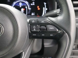レーダークルーズコントロール作動時に車線維持に必要な運転操作の支援を行う「レーントレーシングアシスト(LTA)」を搭載しています。