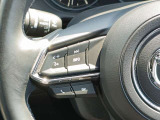 【スイッチパネル】オーディオ等の操作が運転しながらでも操作可能です。