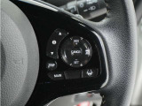 ◆アダプティブクルーズコントロール◆予め設定した車速内でクルマが自動的に加減速。前走車との適切な車間距離を維持しながら追従走行します。【LKAS】車線維持支援システムでステアリング操作を支援。