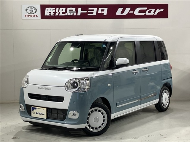 ムーヴキャンバス  ストライプス G