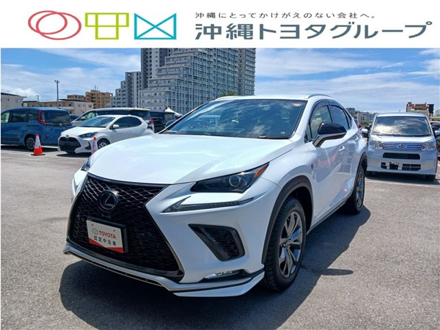 NX 300h Fスポーツ