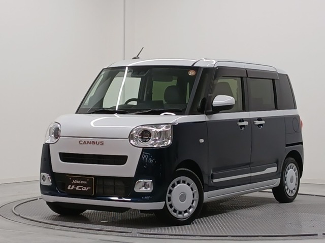 ムーヴキャンバス  ストライプス G