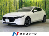 ディーゼルターボ 8.8型メーカーナビ 全周囲カメラ レーダークルーズ
