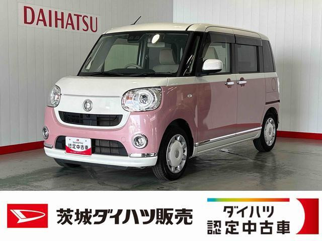 ムーヴキャンバス G メイクアップ リミテッド SAIII 