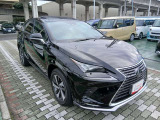 NX 300 スパイス&シック