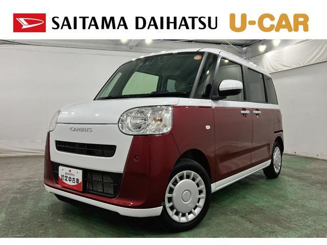 ムーヴキャンバス  ストライプス X