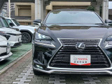 NX 300 スパイス&シック