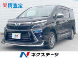 沖縄県内での販売・登録が条件※宮古島除く