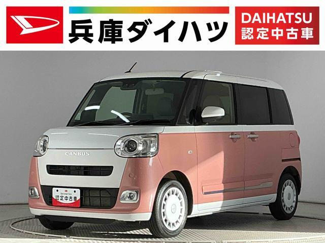 ムーヴキャンバス  ストライプス G