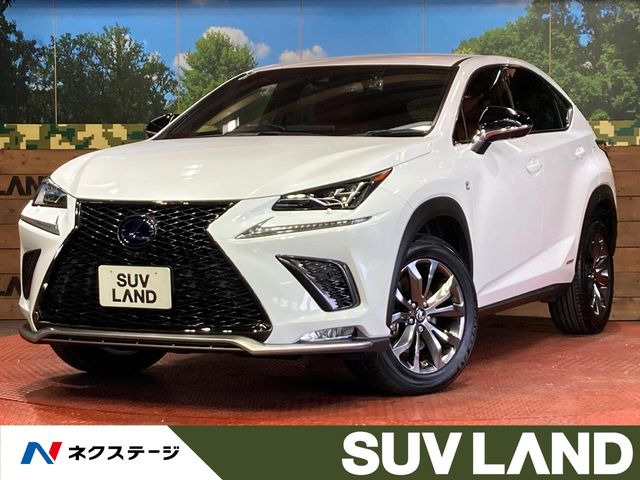 NX 300h Fスポーツ 