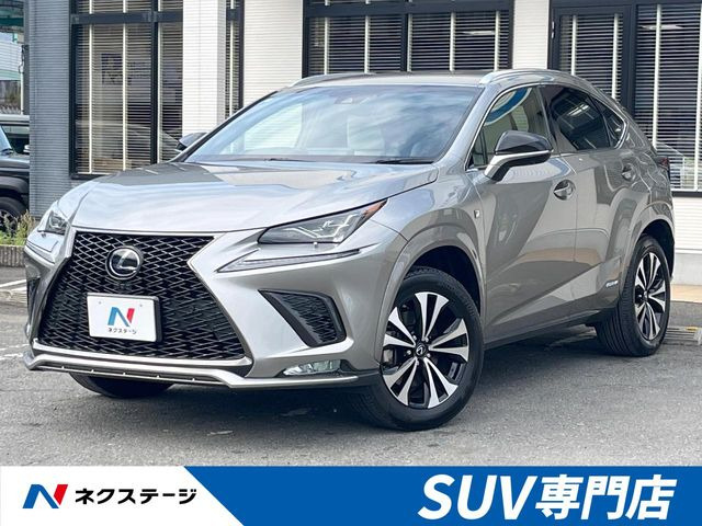 NX 300h Fスポーツ 