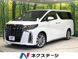 両側電動ドア 後席モニター 純正9インチDA バックカメラ 衝突軽減装置