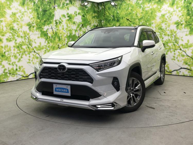 RAV4 2.0 G Zパッケージ 4WD