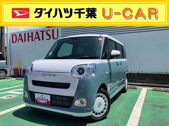 ムーヴキャンバス  ストライプス G
