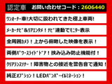 エルグランド 2.5 250ハイウェイスター メーカーナビ リアエンタメ 両自