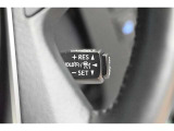 アクセルから足を離しても設定速度で走り続けてくれます。高速道路での長距離移動が楽になりますよ♪