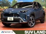 全周囲カメラ 100V電源 レーダークルーズ 電動リアゲート レザーシー