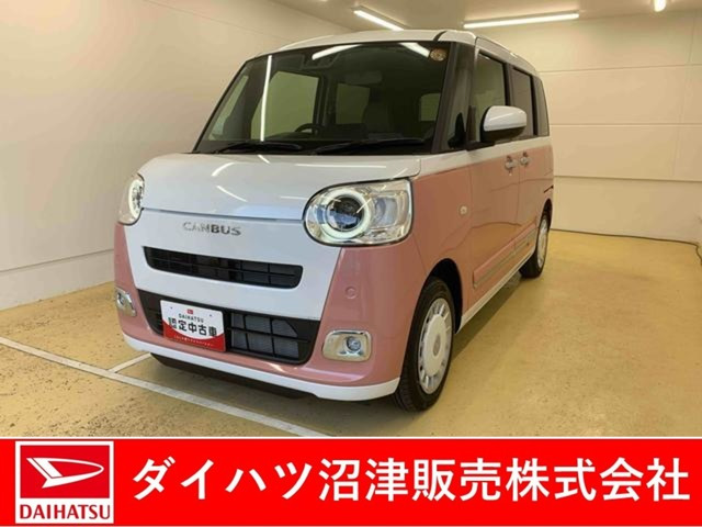 ムーヴキャンバス  ストライプス G