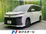 両側電動ドア 後席モニター バックカメラ 100V電源 レーダークルーズ
