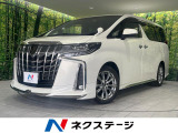 モデリスタエアロ 純正10型ナビ バックカメラ 後席モニター ETC