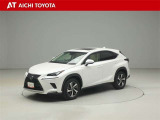 NX 300h Iパッケージ 