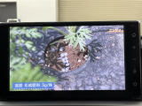 ライズ 1.0 Z 4WD 修復歴無し