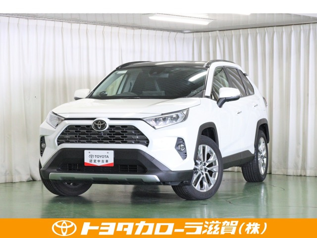 RAV4  2.0 G Zパッケージ 4WD
