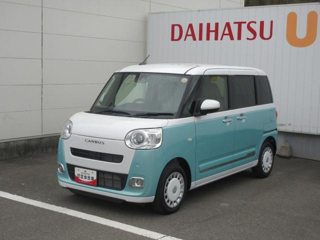 ムーヴキャンバス  ストライプス G