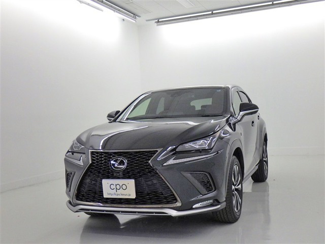 NX 300 Fスポーツ 