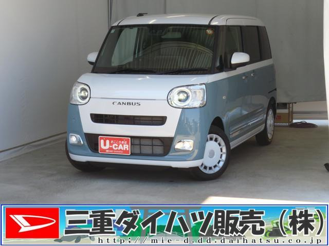 ムーヴキャンバス  ストライプス G
