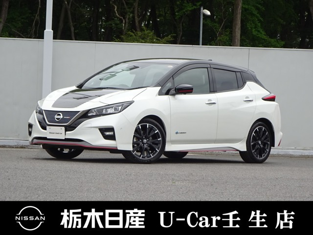 リーフ  NISMO