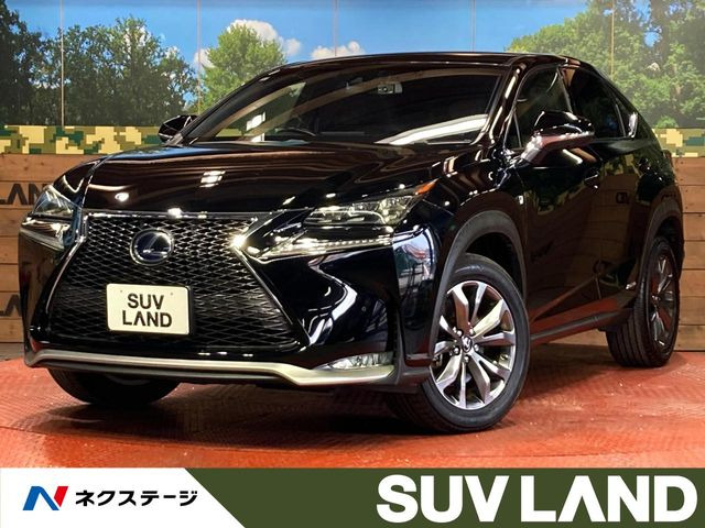 NX 300h Fスポーツ 