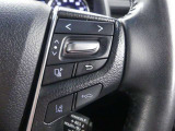 ステアリングスイッチで車両情報を切り替えて必要な情報を確認したりできます。