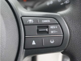 ◆アダプティブクルーズコントロール◆予め設定した車速内でクルマが自動的に加減速。前走車との適切な車間距離を維持しながら追従走行します。【LKAS】車線維持支援システムでステアリング操作を支援。