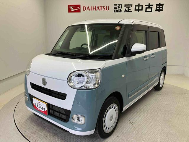 ムーヴキャンバス  ストライプス G
