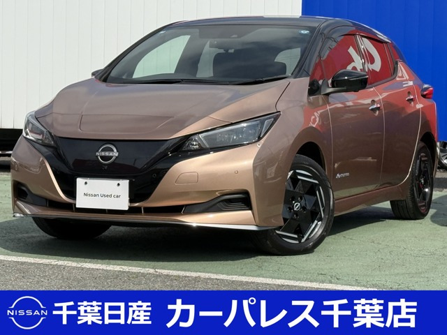 リーフ e+ X 