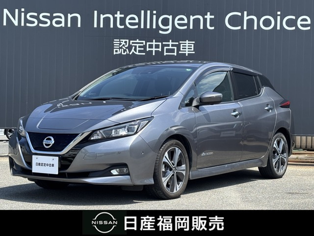 リーフ G 