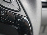 レーダークルーズコントロール使用時に同一車線内の中央を走行可能なように操舵支援を行うレーントレーシングアシスト(LTA)を搭載しています。