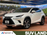 禁煙車 10型純正ナビ サイド・バックカメラ 衝突被害軽減システム