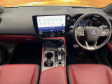 NX 250 