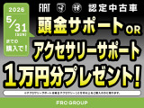 500X  クロス
