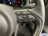 前方の車との車間を設定し、スピードを上げたり緩めたりを自動で行ってくれる追尾式の「レーダークルーズ」。上級装備の一つです!高級車にしかつかない嬉しい機能です。
