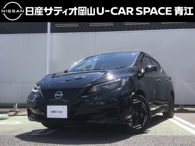 リーフ X 