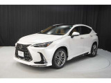 モデリスタフルエアロ付きです。