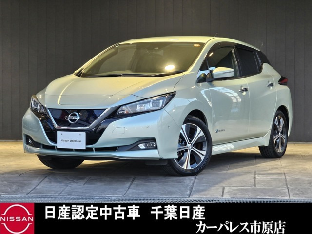 リーフ G